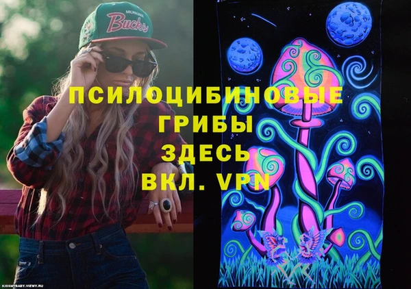 не бодяженный Кукмор
