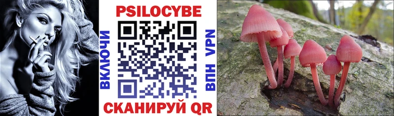 как найти Новый Уренгой Псилоцибиновые грибы мицелий