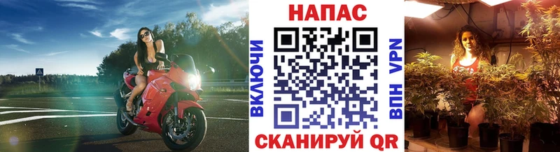 Бошки Шишки план  Новый Уренгой 